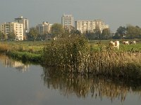 NL, Noord-Brabant, 's Hertogenbosch, Bossche Broek 3, Saxifraga-Jan van der Straaten